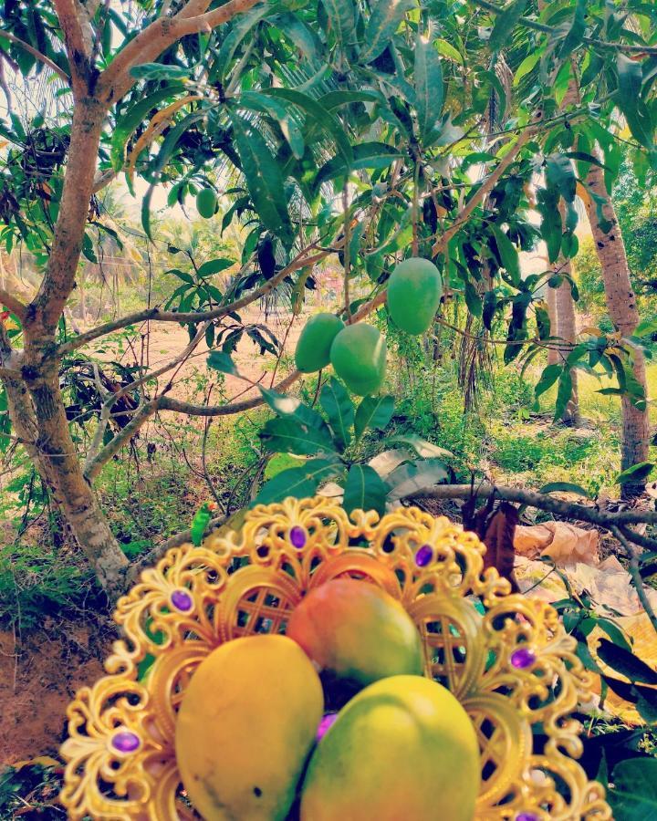 The Big Pineapple Estate Villa Udupi Kültér fotó