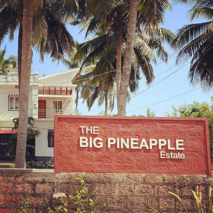 The Big Pineapple Estate Villa Udupi Kültér fotó